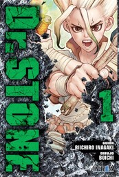 Dr. Stone